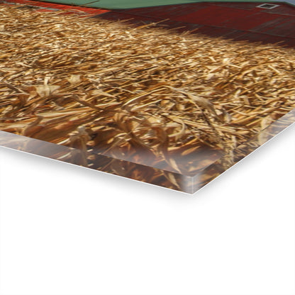 U R There Photography North Force Road Hidden Red Rustic Farmhouse Acrylic Wall Print