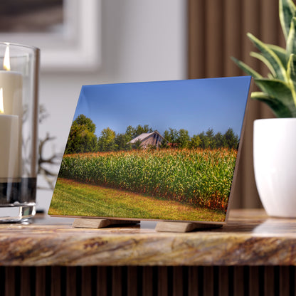 U R There Photography Beyond the Corn on Birch Run Road Rustic Farmhouse Decorative Ceramic Tile