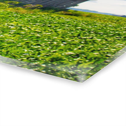 U R There Photography Morning Roadside Grey Rustic Farmhouse Acrylic Wall Print