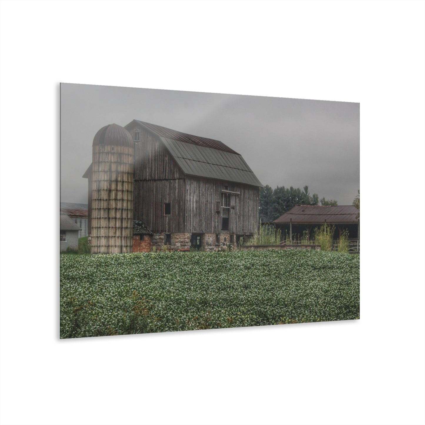U R There Photography East Millington Road Grey and Stable Rustic Farmhouse Acrylic Wall Print