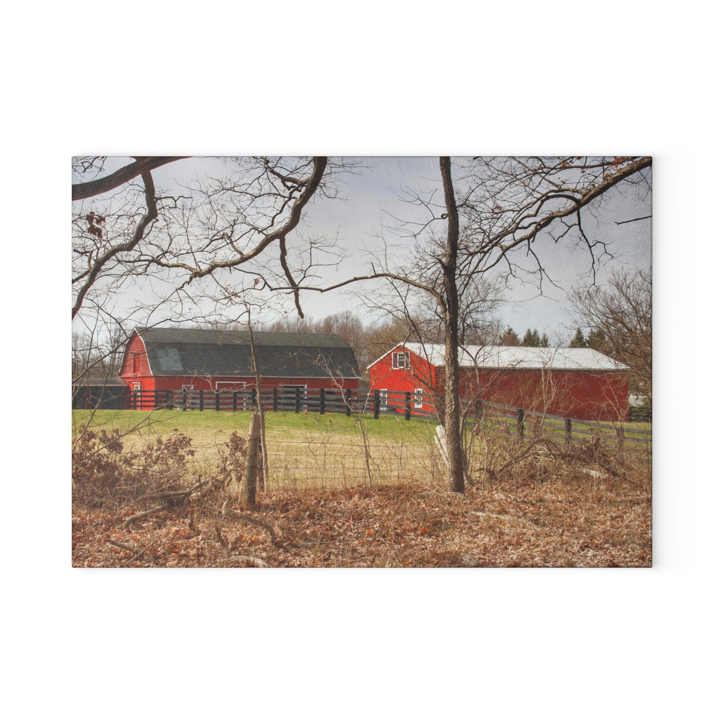 U R There Photography Hidden Hosner Reds Rustic Farmhouse Tempered-Glass Cutting Board