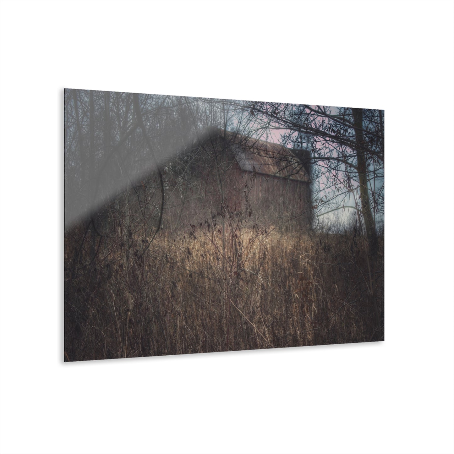 U R There Photography Mayville Hidden Barn I Rustic Farmhouse Acrylic Wall Print