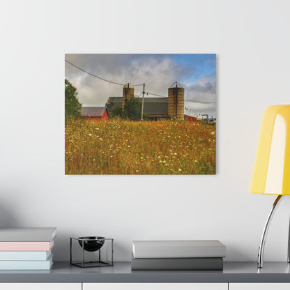 U R There Photography Brown Road Hidden Reds Rustic Farmhouse Acrylic Wall Print