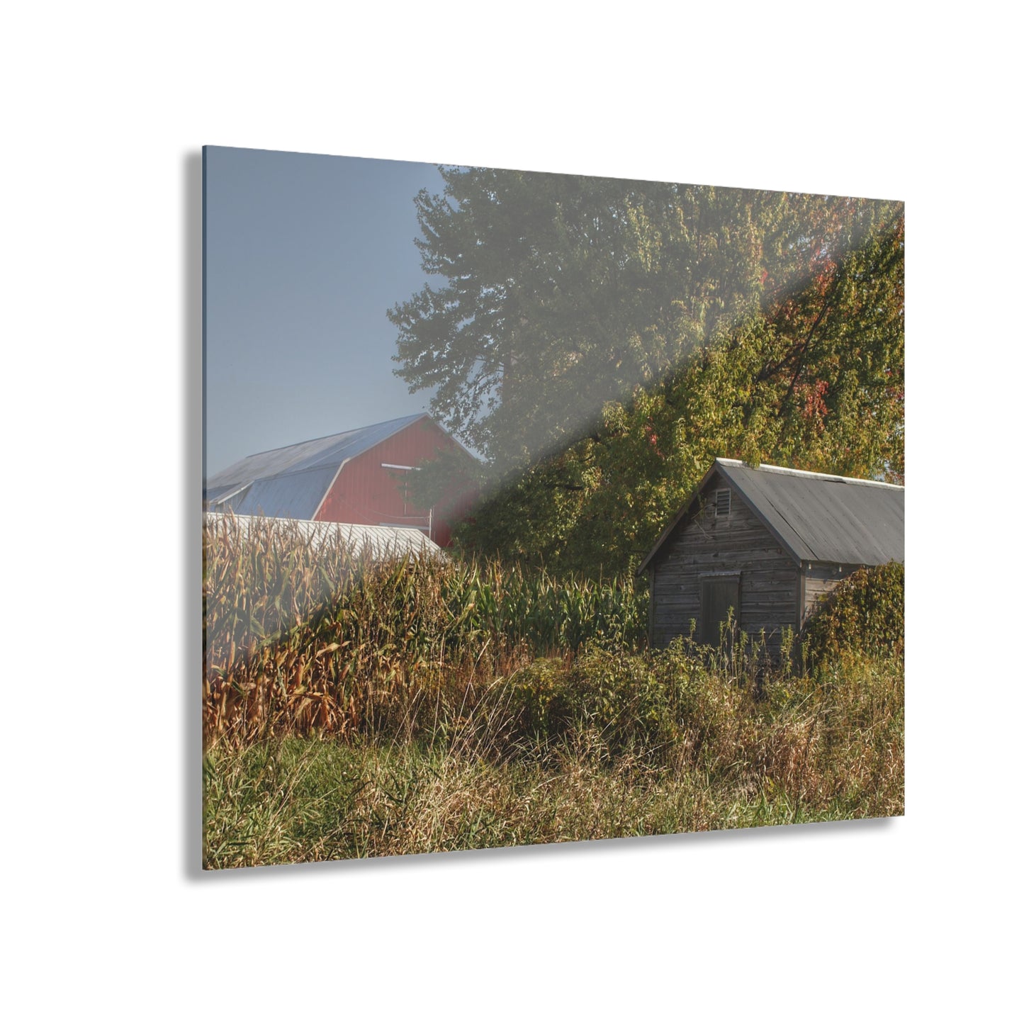 U R There Photography Barnes Road Hidden Red and Little Grey Rustic Farmhouse Acrylic Wall Print
