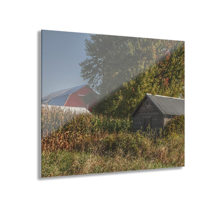 U R There Photography Barnes Road Hidden Red and Little Grey Rustic Farmhouse Acrylic Wall Print