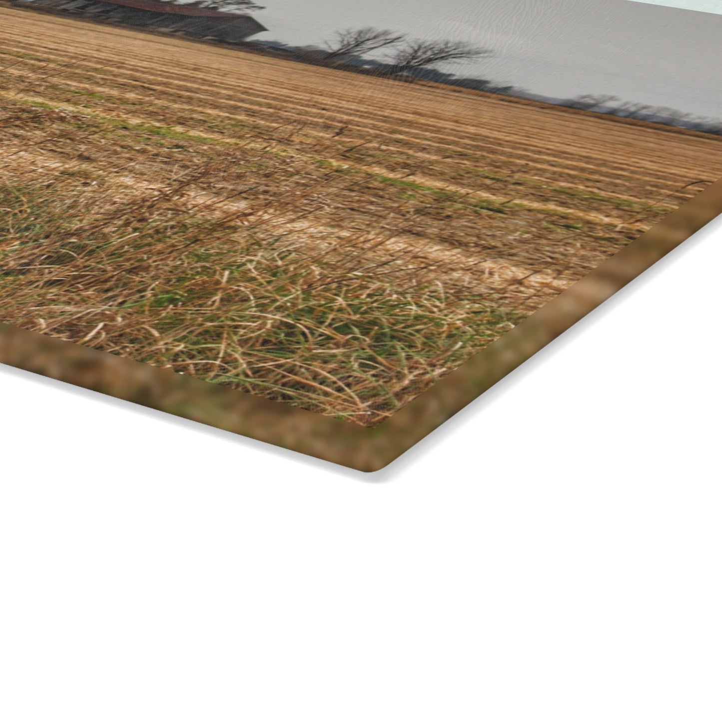 U R There Photography Freiberger Road Grey Across the Field Rustic Farmhouse Tempered-Glass Cutting Board