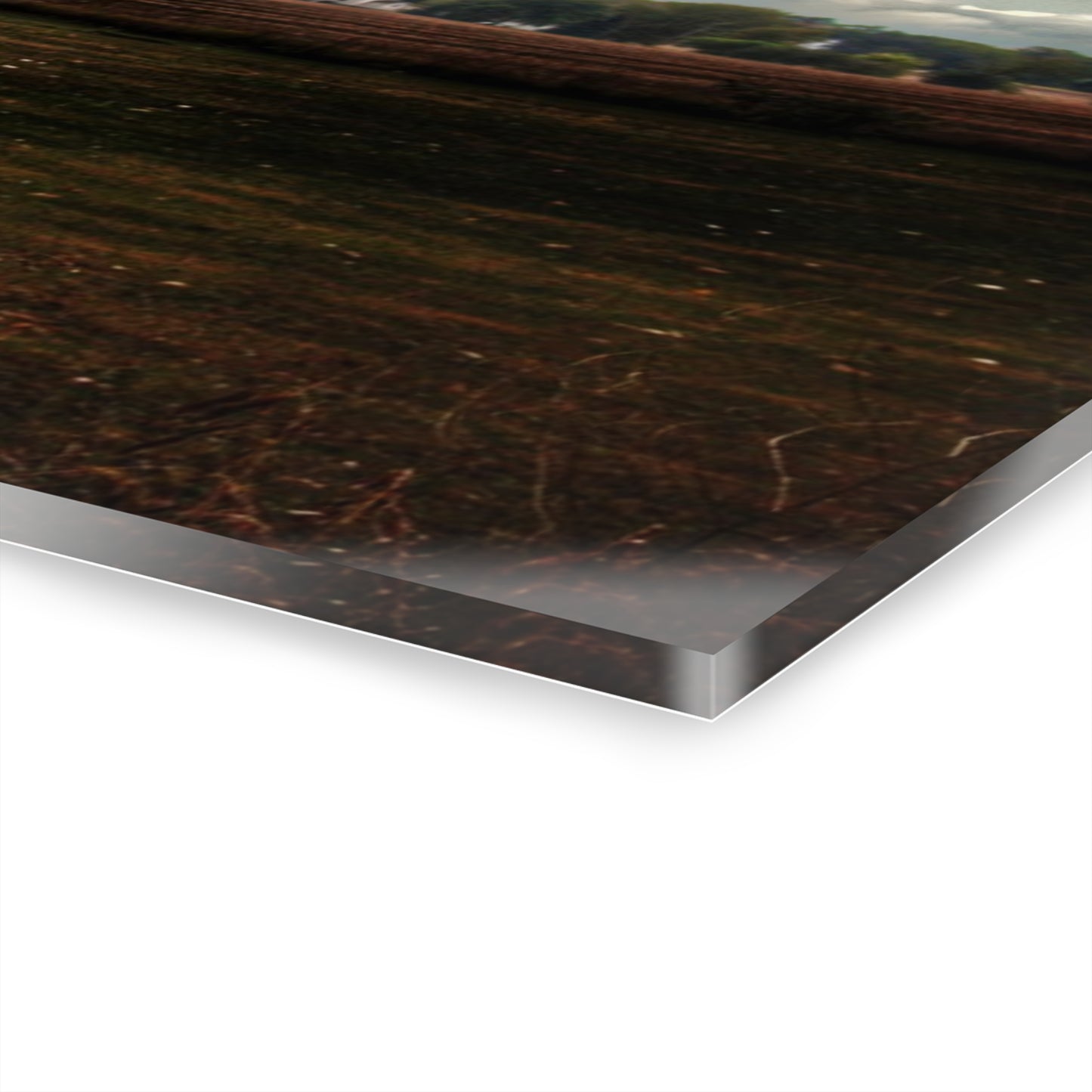 U R There Photography Fairgrove-Deckerville Red Rustic Farmhouse Acrylic Wall Print