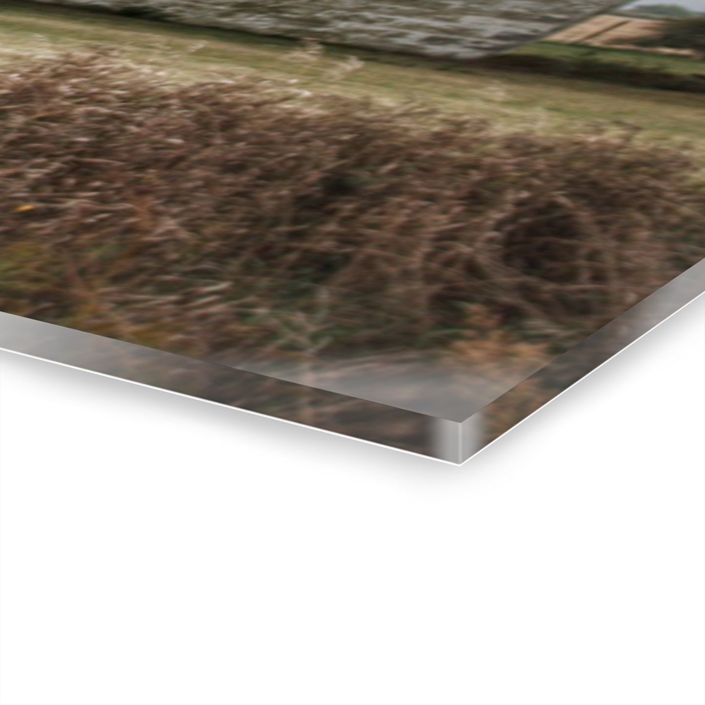 U R There Photography Richville Road Shacks Rustic Farmhouse Acrylic Wall Print