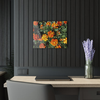 U R There Photography Marigolds Rustic Farmhouse Acrylic Wall Print
