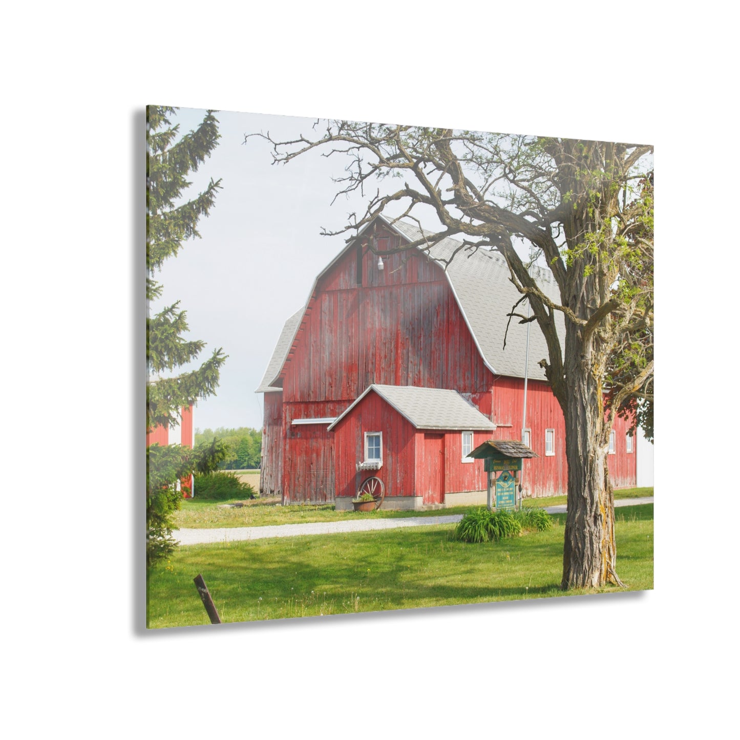 U R There Photography French Road Centennial Reds I Rustic Farmhouse Acrylic Wall Print