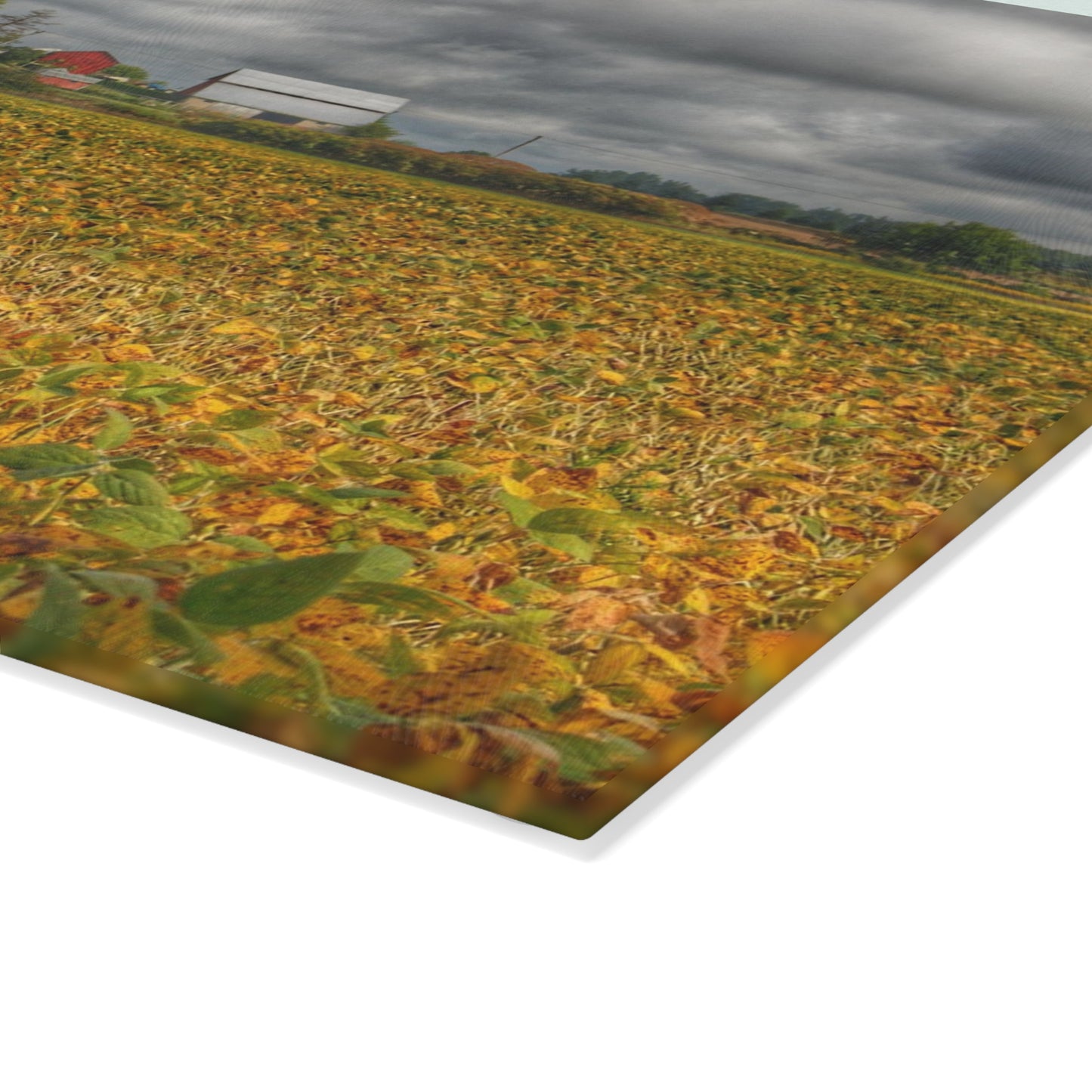 U R There Photography Golden Fields Farm Rustic Farmhouse Tempered-Glass Cutting Board