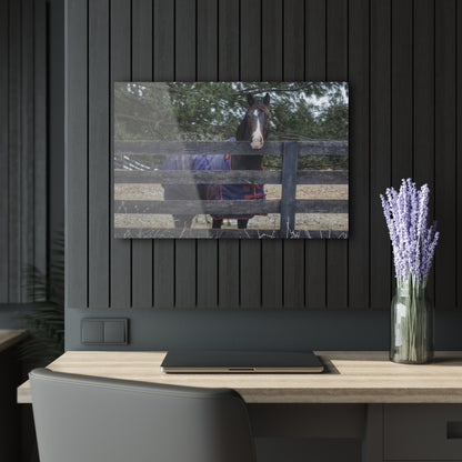 U R There Photography Hosner Road Chestnut Rustic Farmhouse Acrylic Wall Print