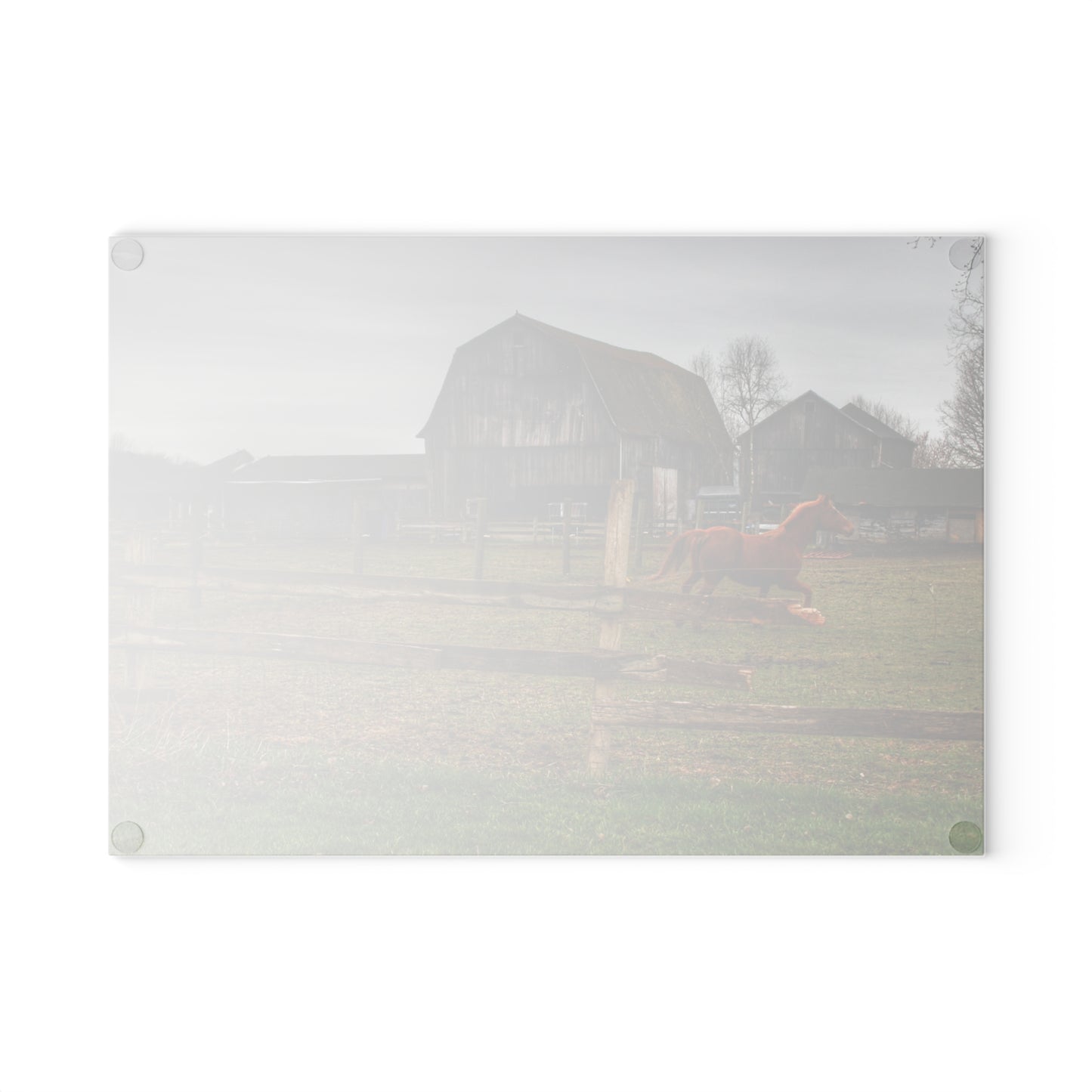 U R There Photography South Summers Road Old Grey and Caramel III Rustic Farmhouse Tempered-Glass Cutting Board