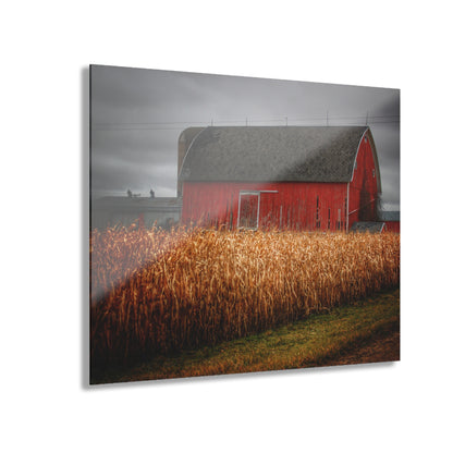 U R There Photography Slattery Road Cornfield Red Rustic Farmhouse Acrylic Wall Print