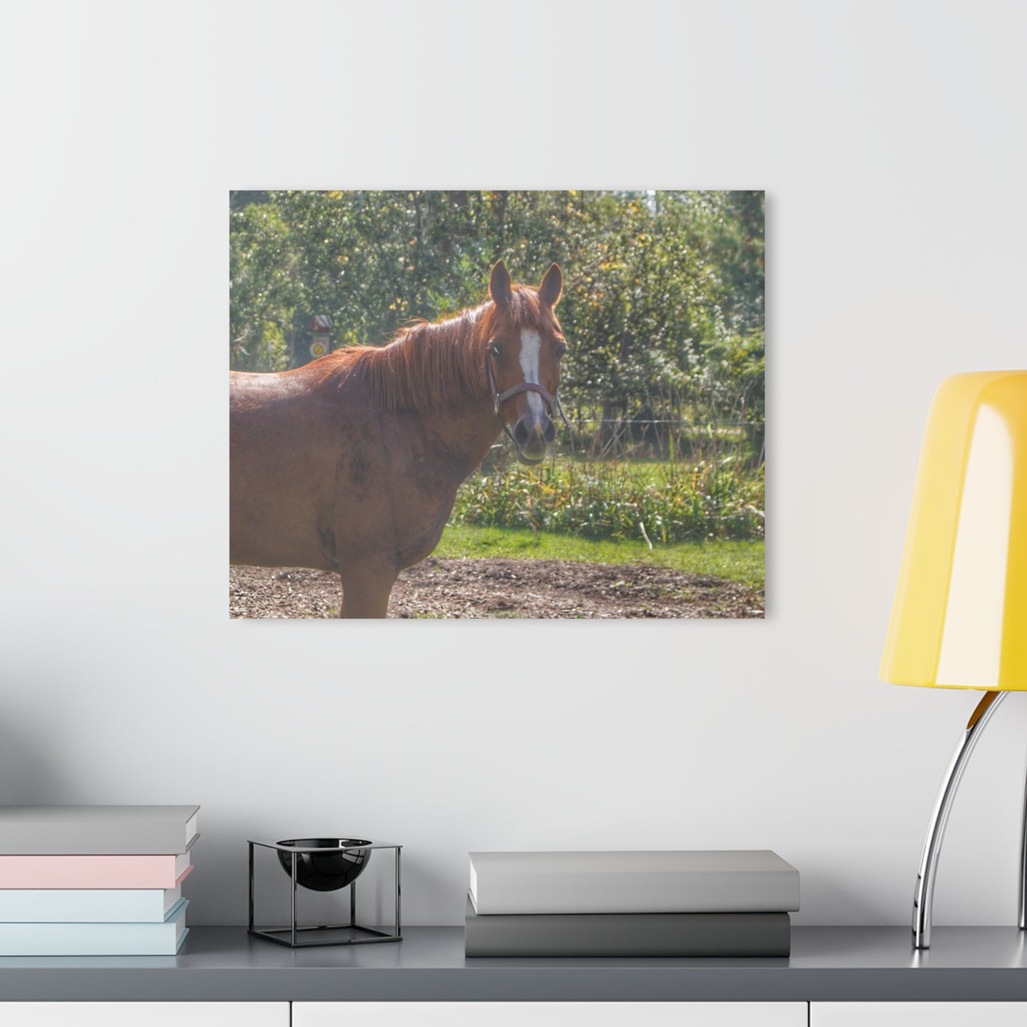 U R There Photography Froede Road Chestnut Brown Rustic Farmhouse Acrylic Wall Print