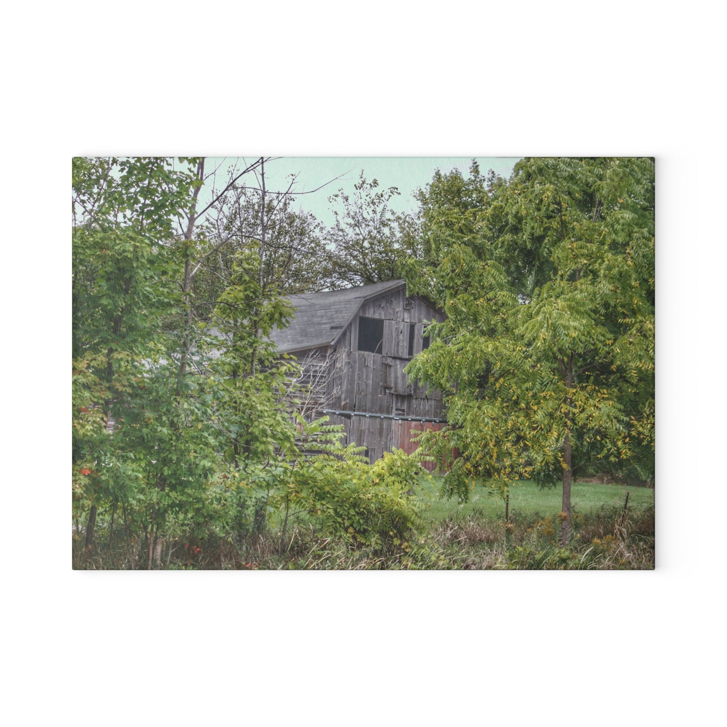 U R There Photography Hayes Road Hidden I Rustic Farmhouse Tempered-Glass Cutting Board