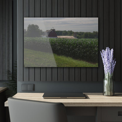 U R There Photography Above the Corn on Piersonville Road II Rustic Farmhouse Acrylic Wall Print
