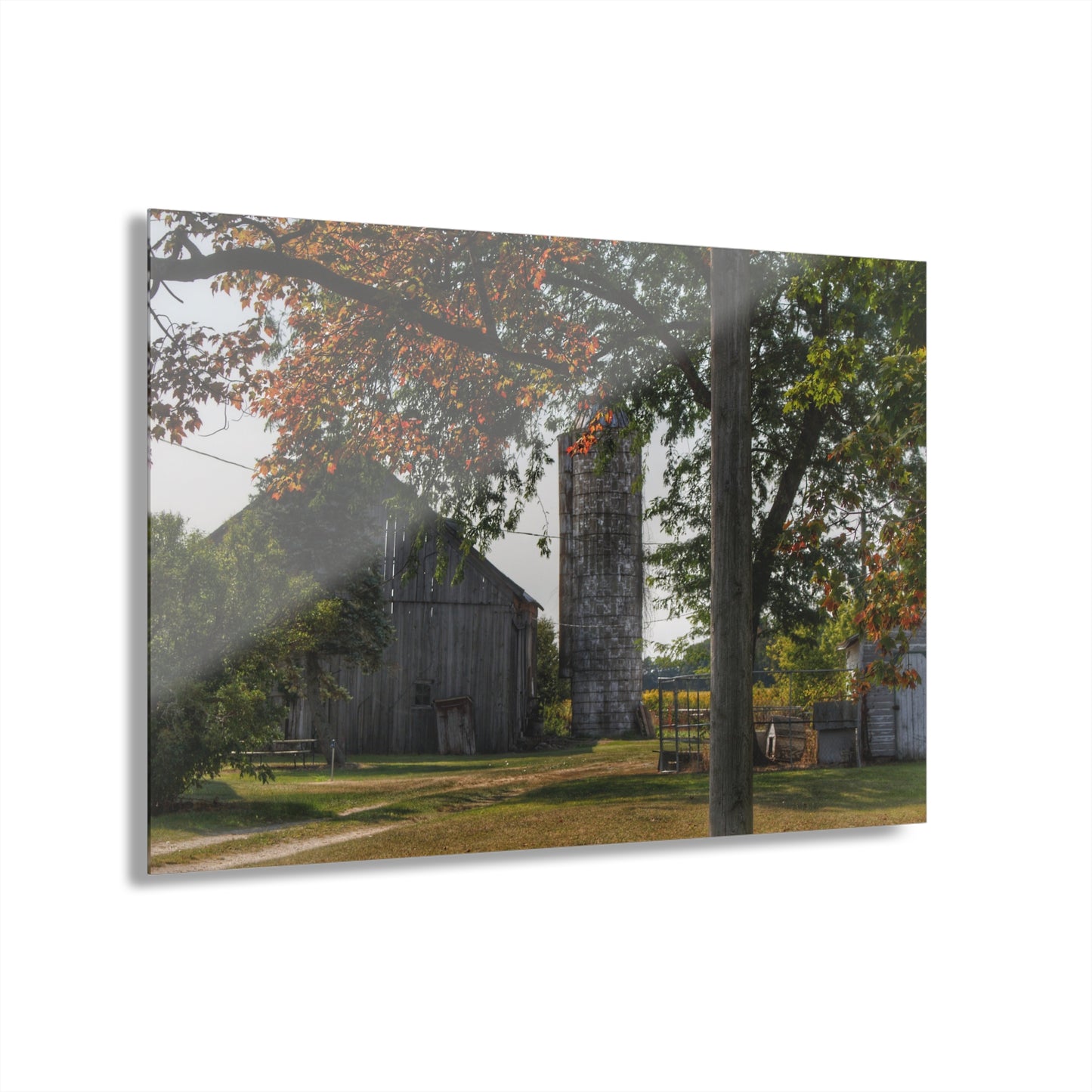 U R There Photography Hidden Grey of Tuscola Rustic Farmhouse Acrylic Wall Print