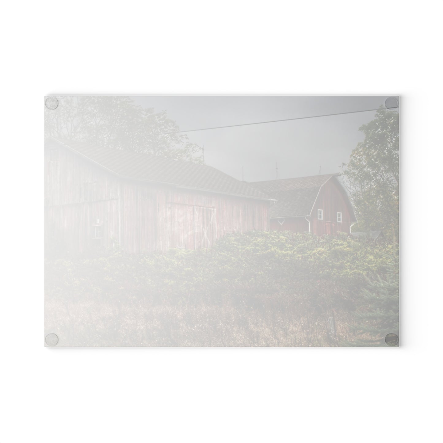 U R There Photography Washburn Reds Rustic Farmhouse Tempered-Glass Cutting Board