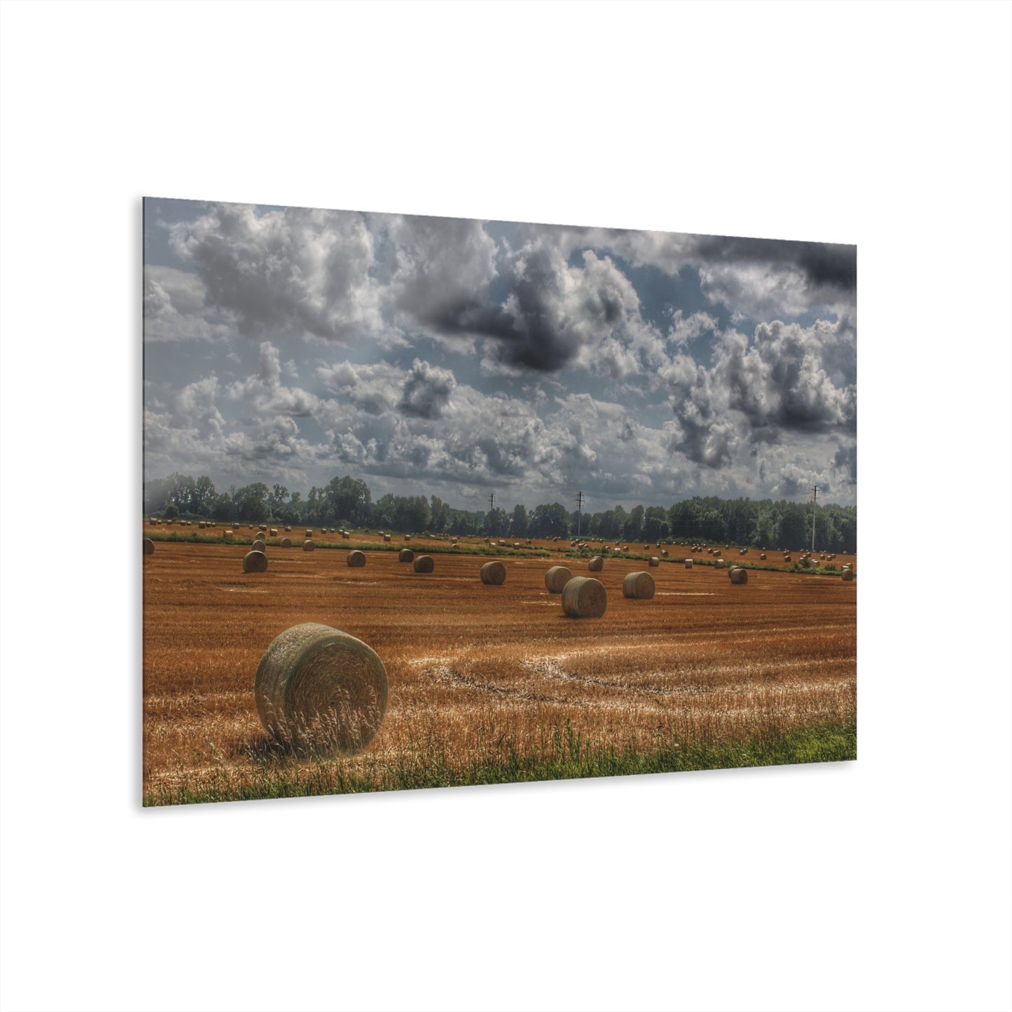 U R There Photography Haybale Heaven Rustic Farmhouse Acrylic Wall Print