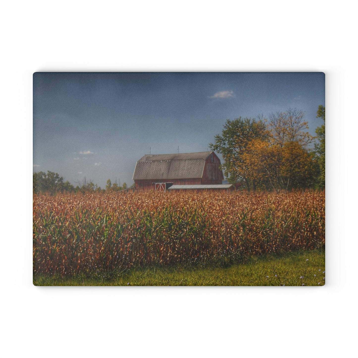 U R There Photography Clifford Road Red III Rustic Farmhouse Tempered-Glass Cutting Board