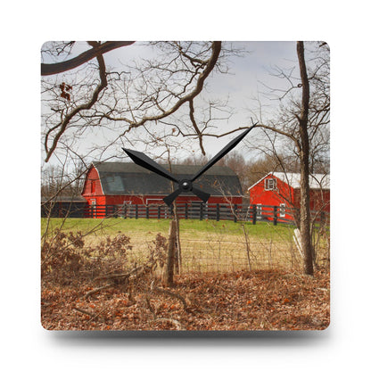 U R There Photography Hidden Hosner Reds Rustic Farmhouse Acrylic Analog Wall Clock