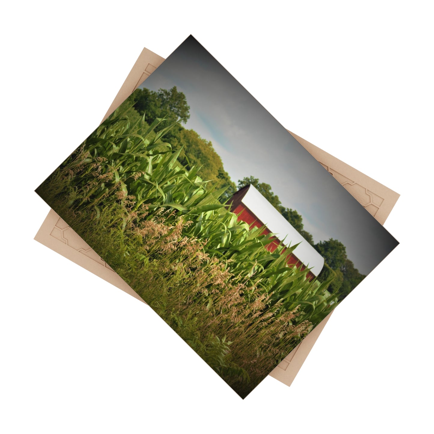 U R There Photography July Corn Rustic Farmhouse Decorative Ceramic Tile