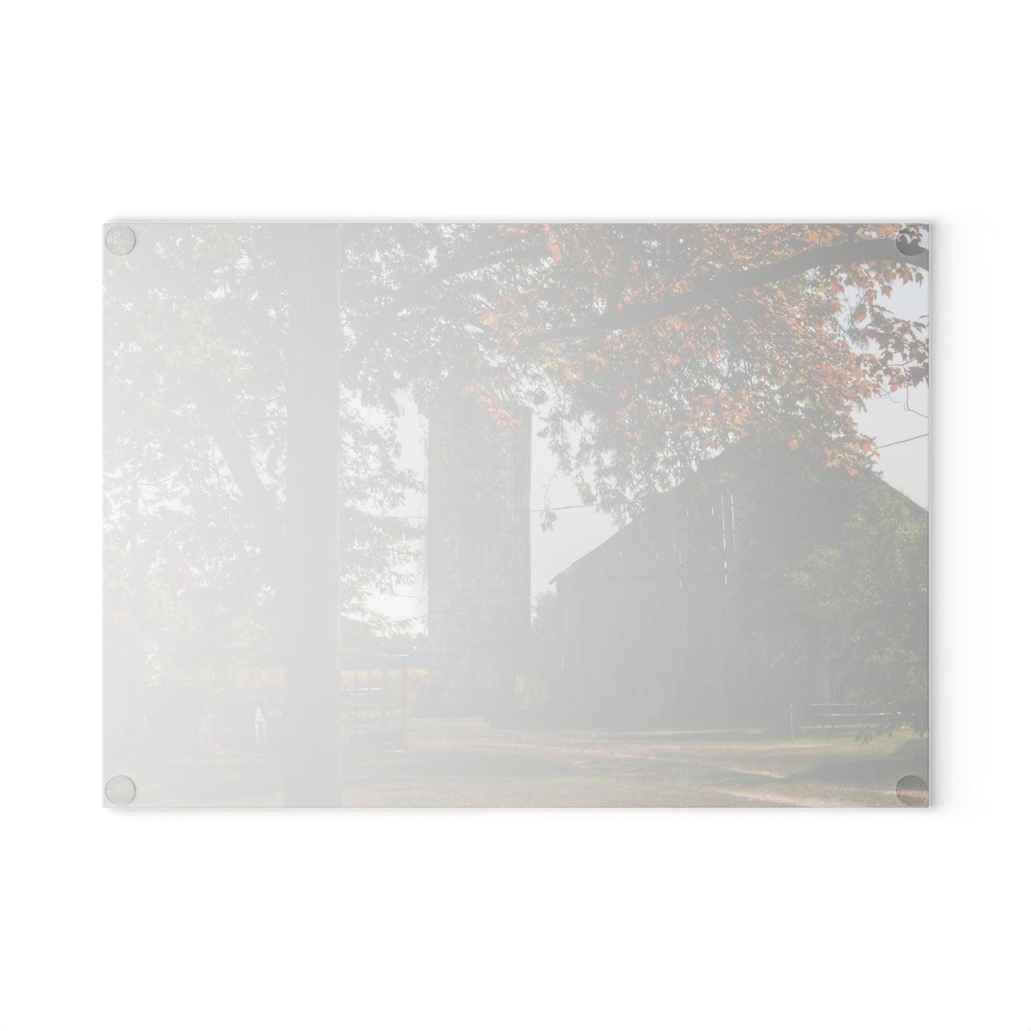 U R There Photography Hidden Grey of Tuscola Rustic Farmhouse Tempered-Glass Cutting Board
