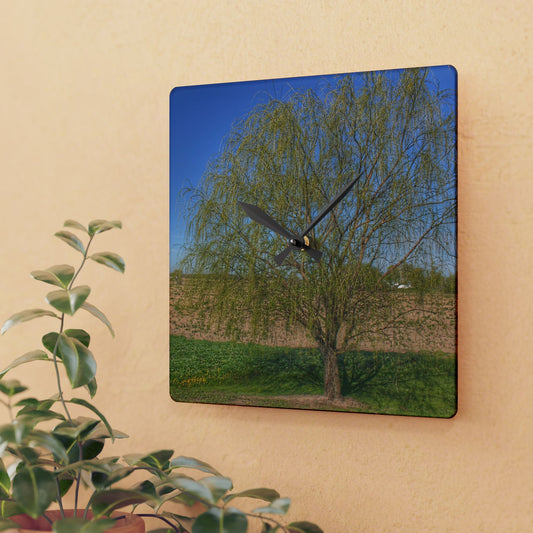 U R There Photography Spring Farm Willow Tree Rustic Farmhouse Acrylic Analog Wall Clock