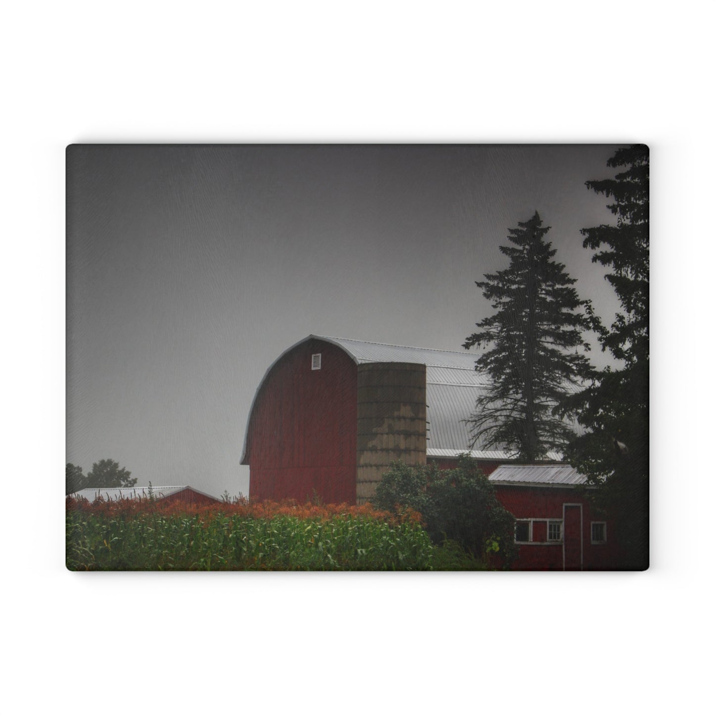 U R There Photography Beyond the Fog on Haines Rustic Farmhouse Tempered-Glass Cutting Board