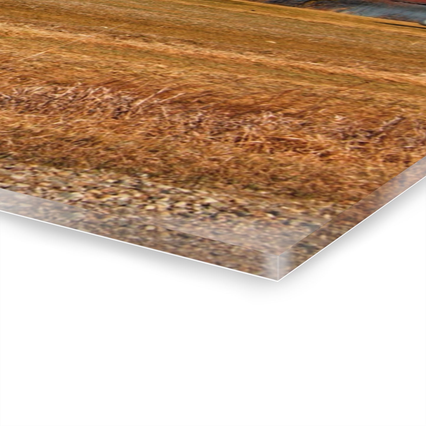 U R There Photography North Cemetery Roads Forgotten Grey Rustic Farmhouse Acrylic Wall Print