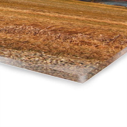 U R There Photography North Cemetery Roads Forgotten Grey Rustic Farmhouse Acrylic Wall Print