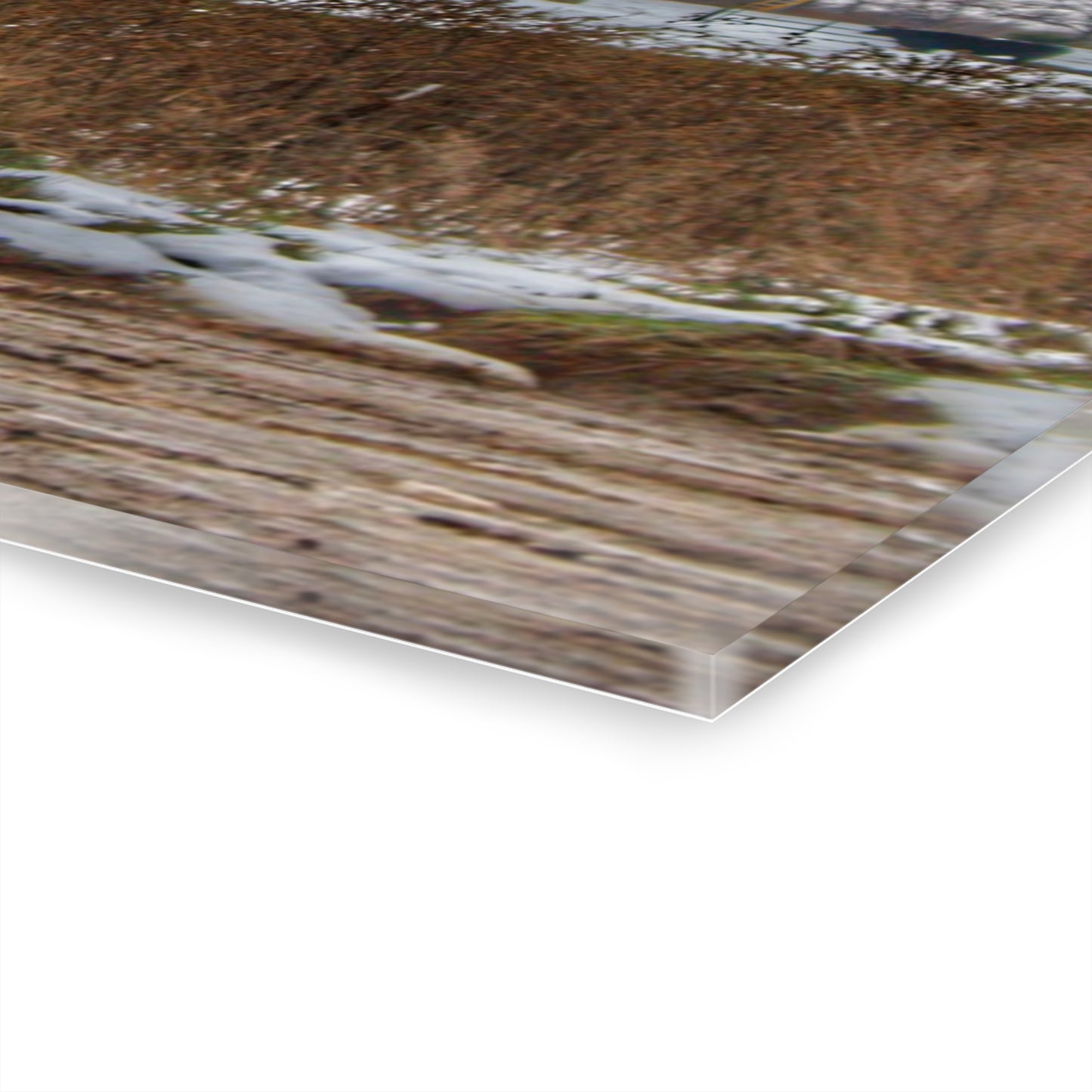 U R There Photography Noble Road Blue Cow Barn Rustic Farmhouse Acrylic Wall Print