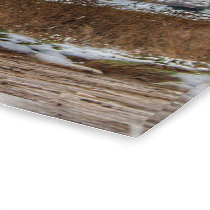 U R There Photography Noble Road Blue Cow Barn Rustic Farmhouse Acrylic Wall Print