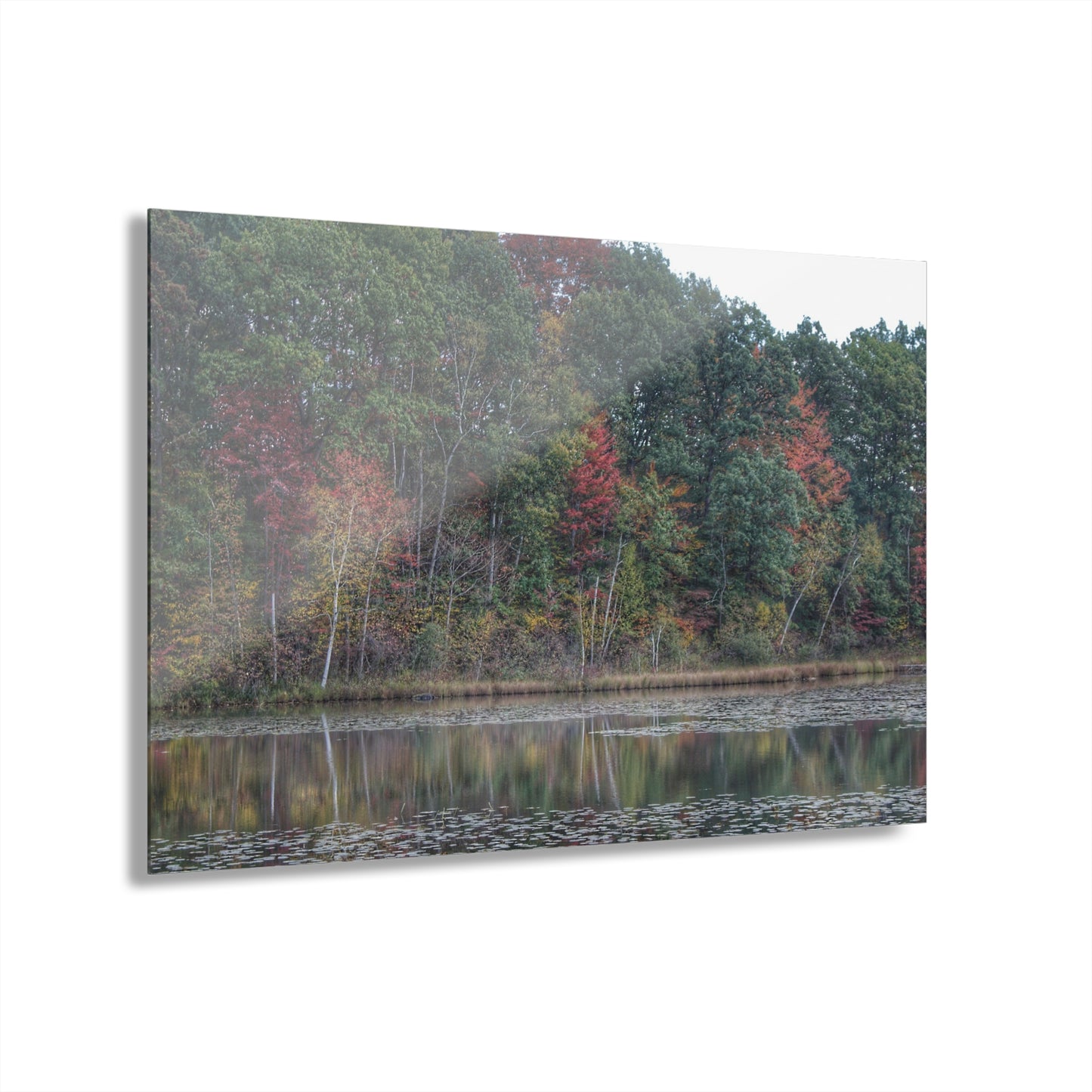 U R There Photography Fall on Murphy Lake IV Rustic Farmhouse Acrylic Wall Print
