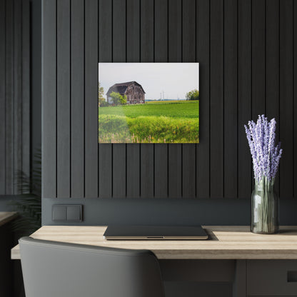 U R There Photography North Graf Road Old Grey Rustic Farmhouse Acrylic Wall Print