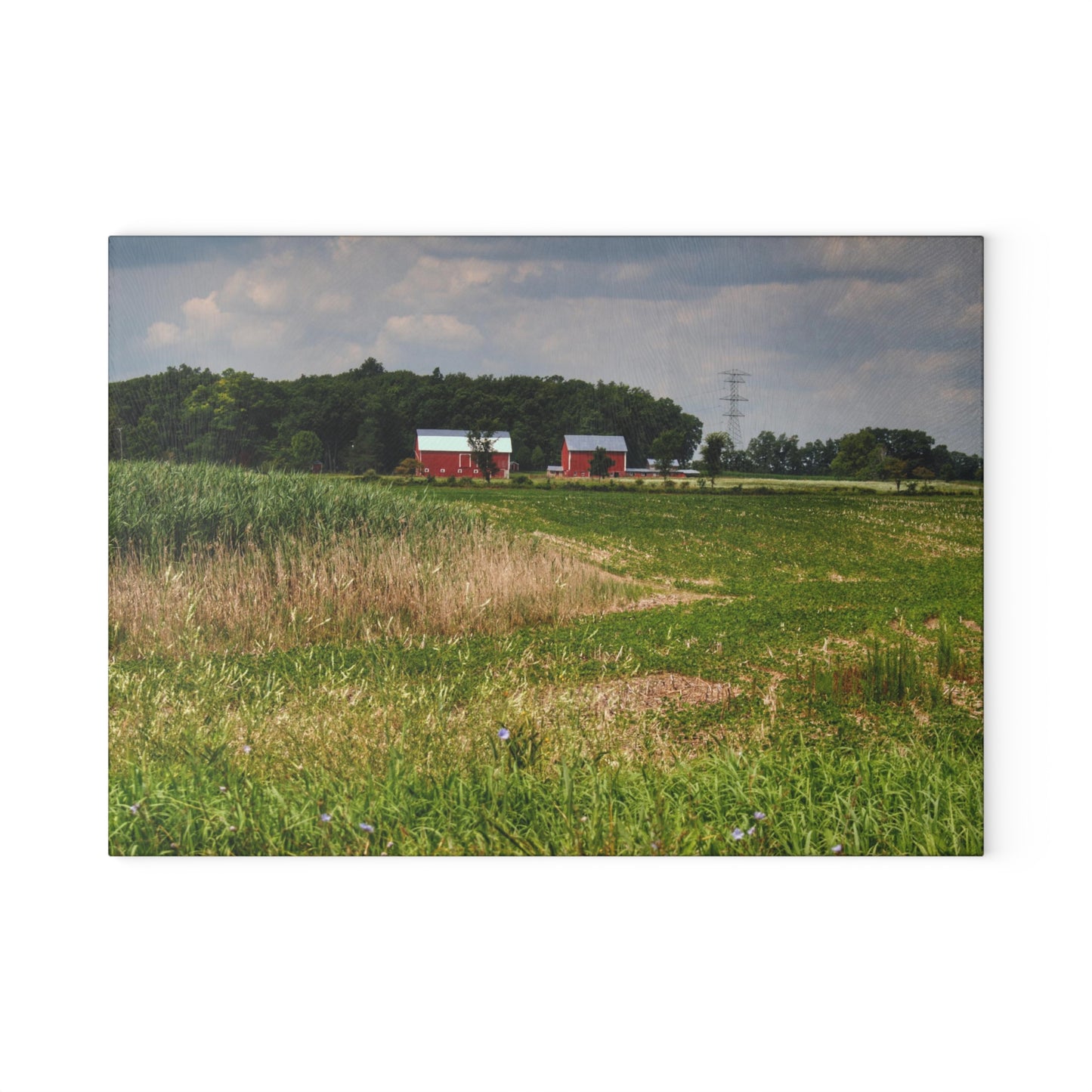 Barn Boutique Rustic Tempered-Glass Cutting Board| Across the Field in Elba II