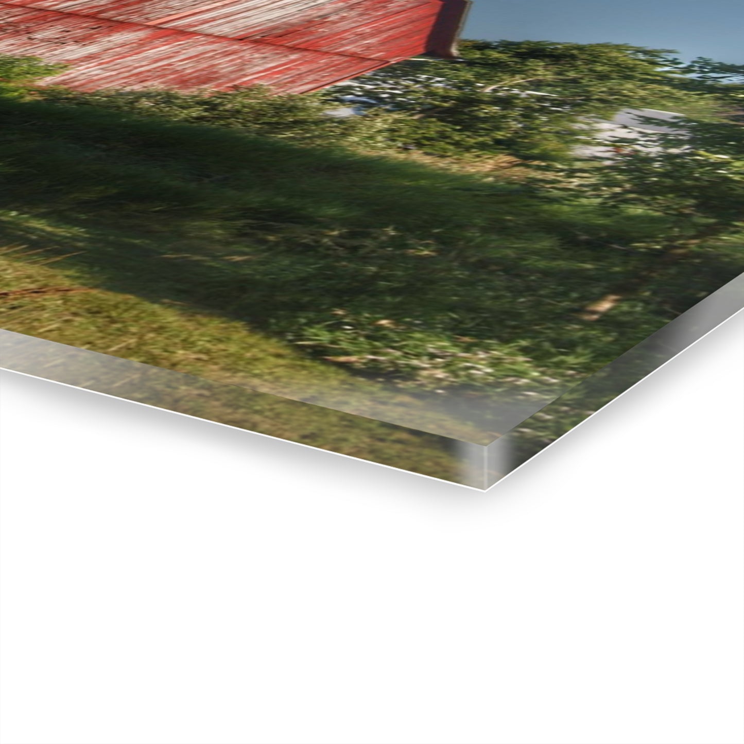 U R There Photography Columbiaville Red in Summer I Rustic Farmhouse Acrylic Wall Print