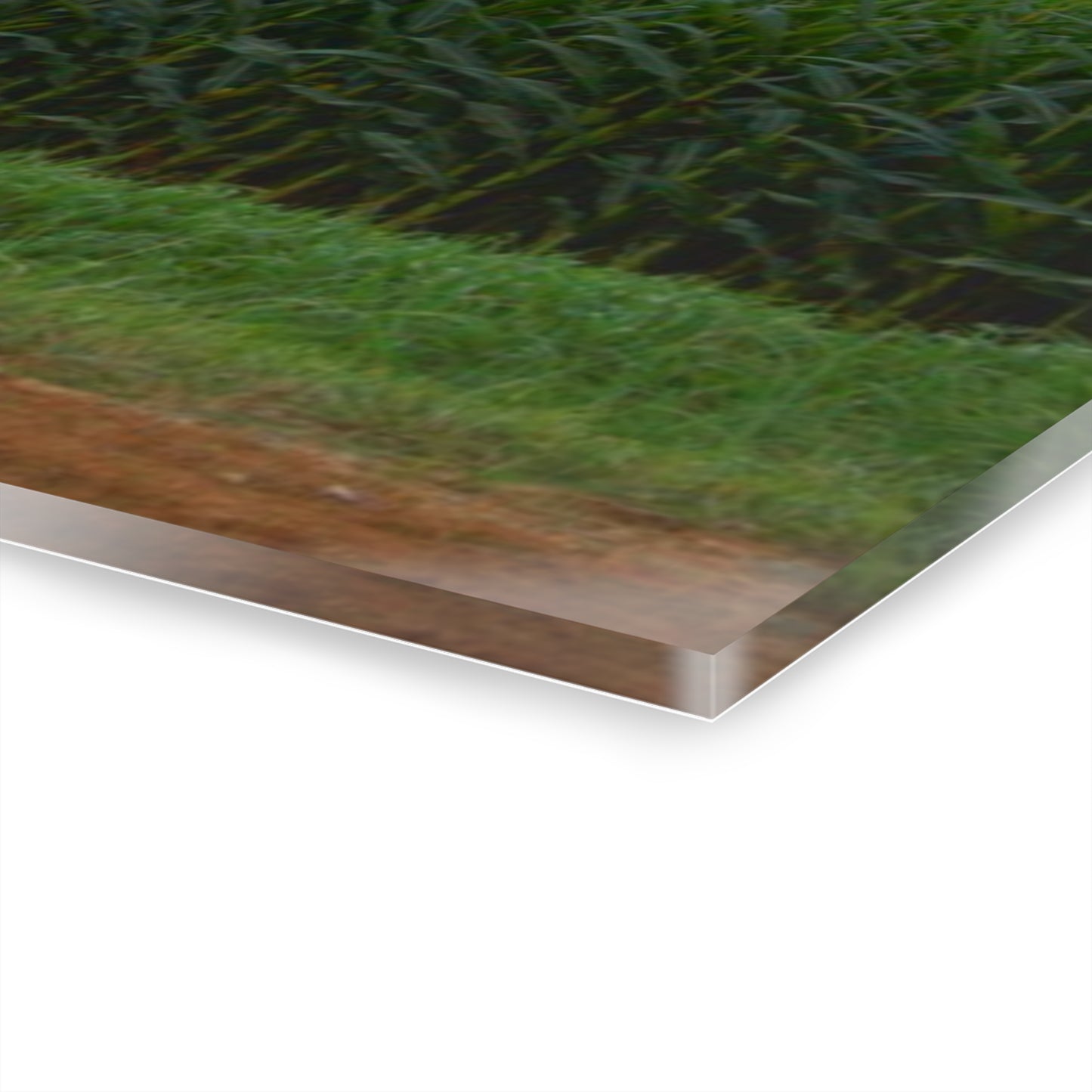 U R There Photography East Brown Road Red Rustic Farmhouse Acrylic Wall Print