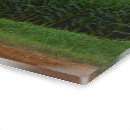 U R There Photography East Brown Road Red Rustic Farmhouse Acrylic Wall Print