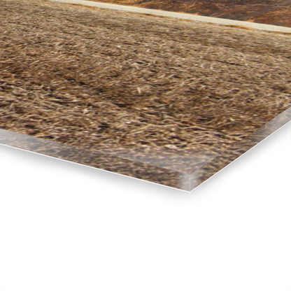 U R There Photography Indian Trail Rusted Reds I Rustic Farmhouse Acrylic Wall Print