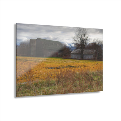 U R There Photography Fields of Golden Clover Rustic Farmhouse Acrylic Wall Print