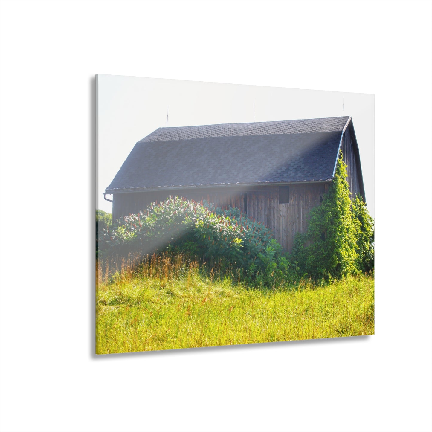 U R There Photography North Lake Pleasant Road Old Grey Rustic Farmhouse Acrylic Wall Print