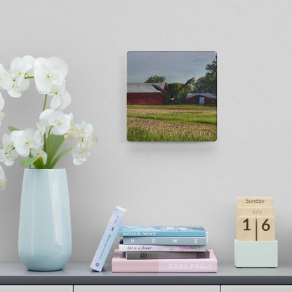 U R There Photography Catlin Road Reds Rustic Farmhouse Acrylic Analog Wall Clock