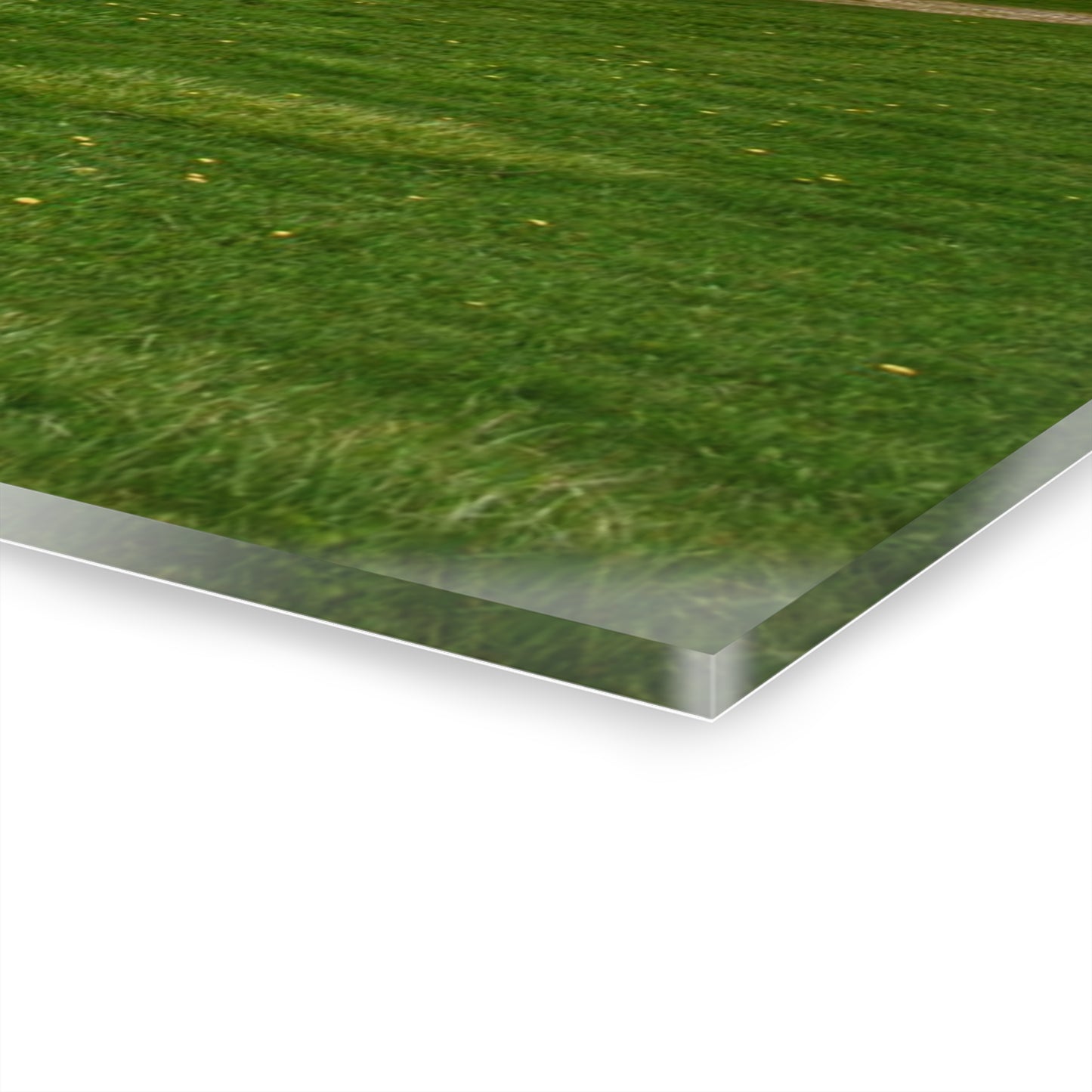 U R There Photography Fostoria Red II Rustic Farmhouse Acrylic Wall Print