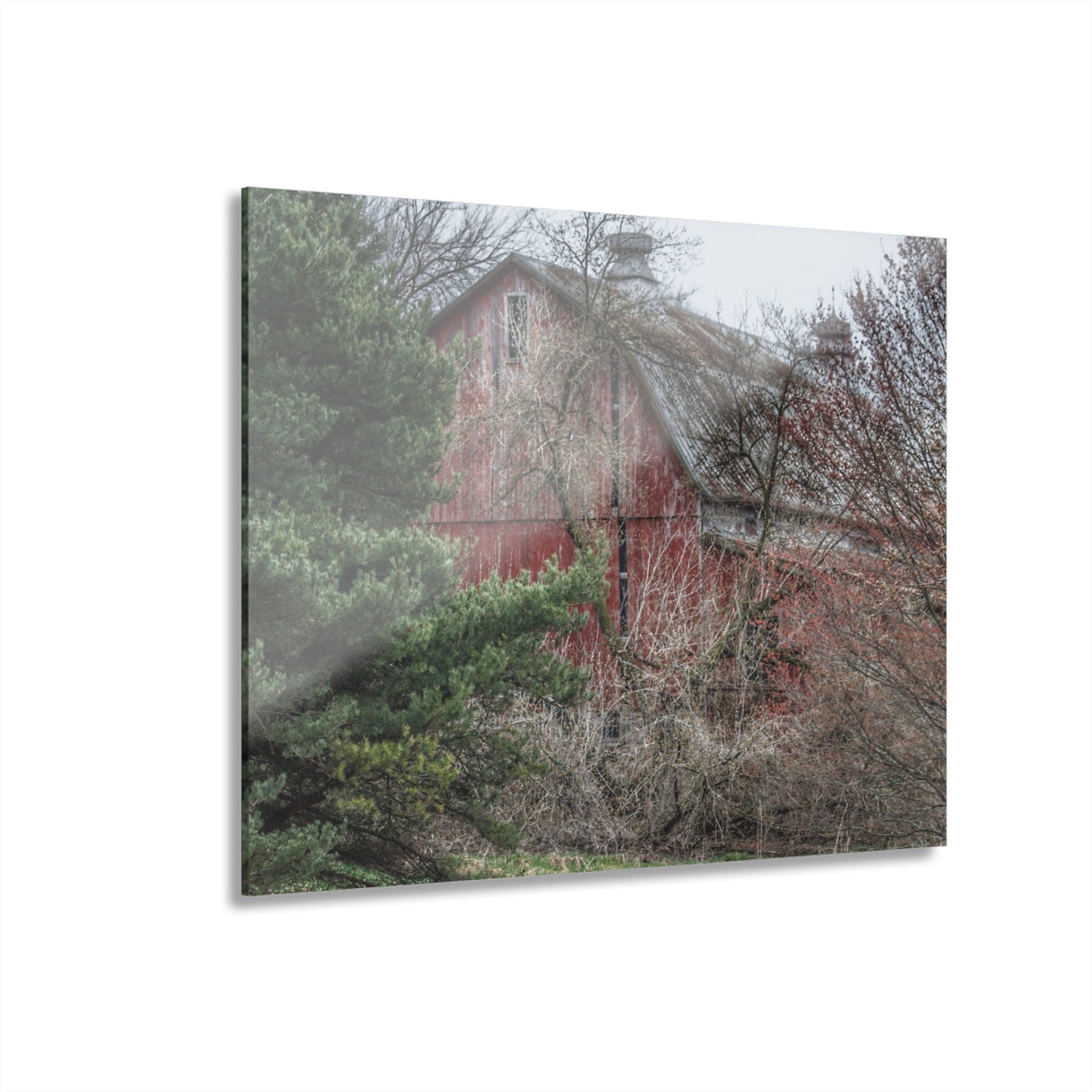 U R There Photography Morris Road Hidden Rustic Farmhouse Acrylic Wall Print