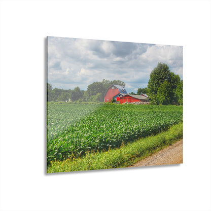 U R There Photography Block Road Reds Rustic Farmhouse Acrylic Wall Print