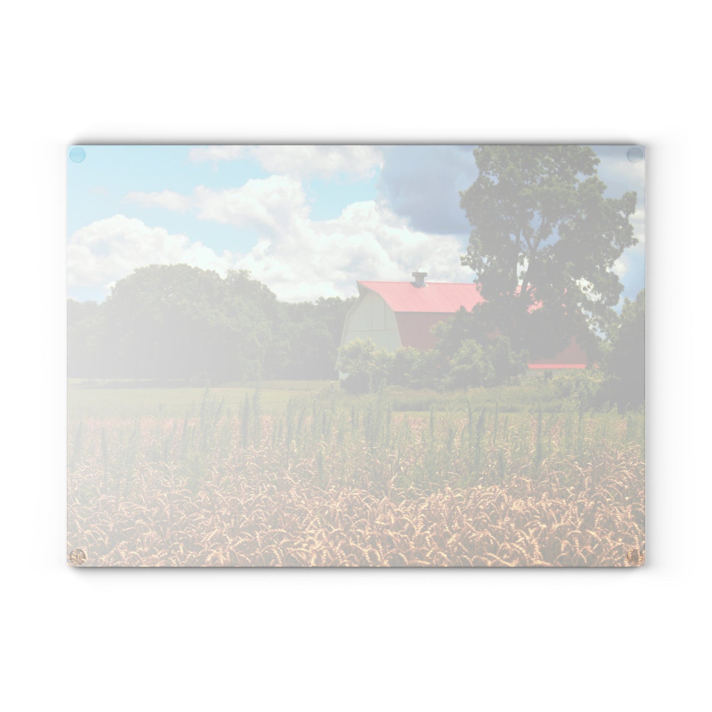 U R There Photography Northern White Rustic Farmhouse Tempered-Glass Cutting Board 8 "x 11"