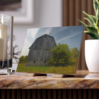 U R There Photography Cat Lake Grey I Rustic Farmhouse Decorative Ceramic Tile