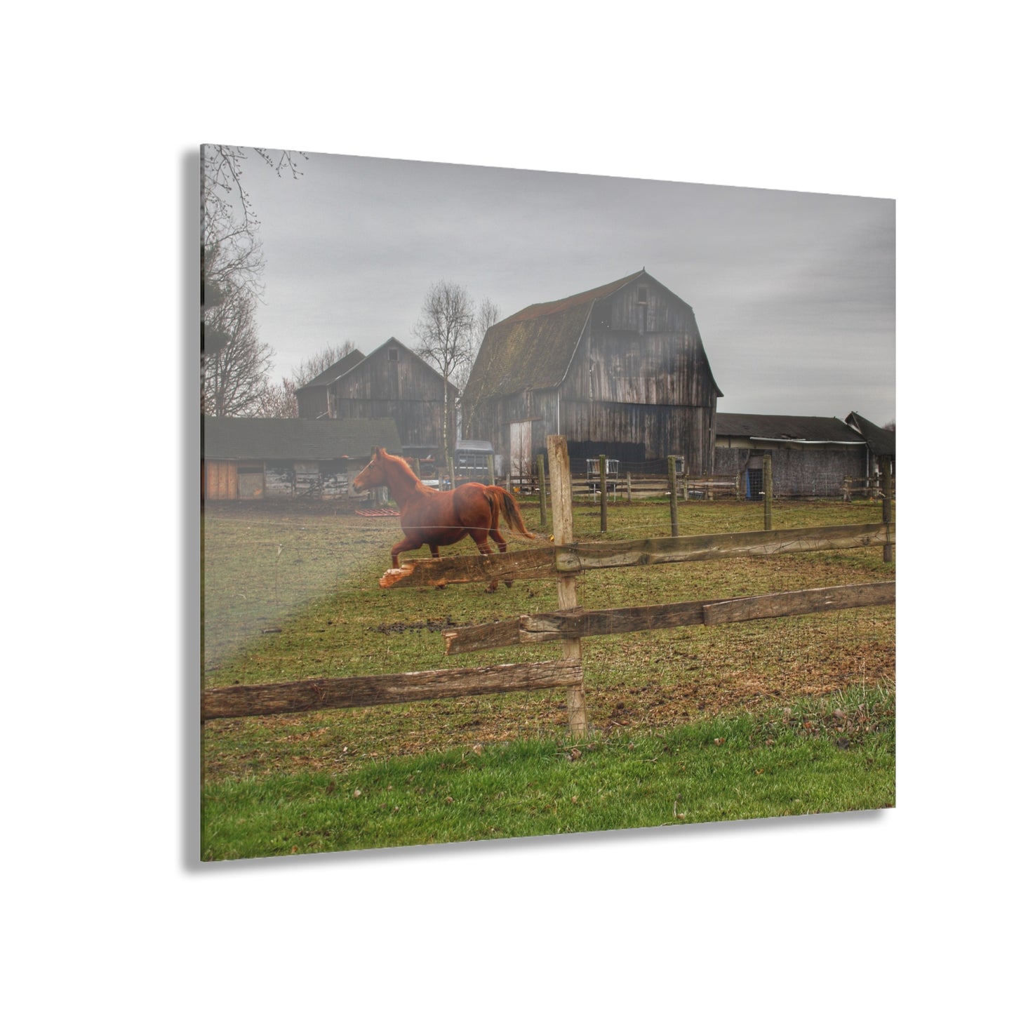 U R There Photography South Summers Road Old Grey and Caramel III Rustic Farmhouse Acrylic Wall Print